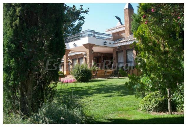 Finca Cerro Del Moro Albarreal de Tajo 外观 照片